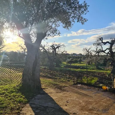 Trullo Dei Ricordi Ostuni